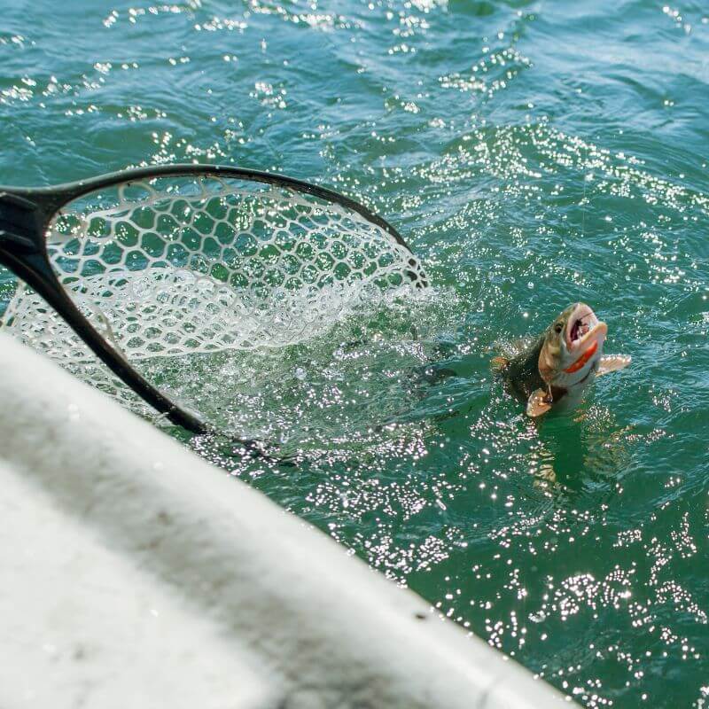 Full Day Guided Fishing Package Jackson Hole
