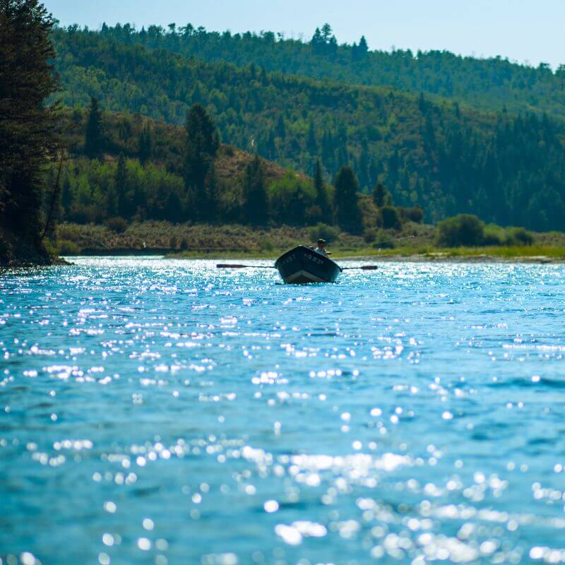 Half Day Guided Fishing Package Jackson Hole